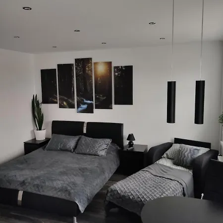 Central Studio Apartment *