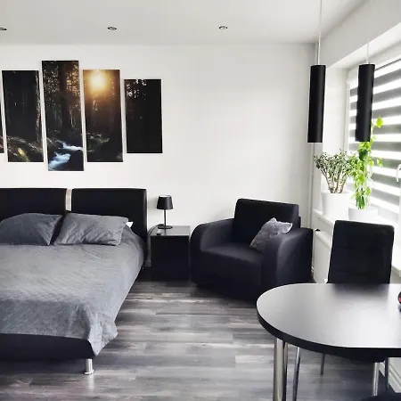 Central Studio Apartment Апартаменты *